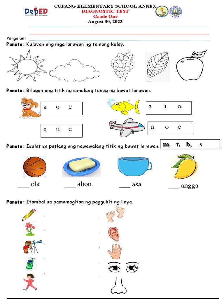 Diagnostic test grade one pdf
