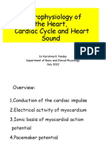 Electrophysiology of The Heart, Cardiac Cycle and
