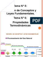 Tema N 5 y 6 Rev de Conceptos y Leyes Fundamentales y Prop Termo