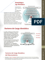 Tipos de Carga Alostática en La Población Venezolana - Jeanette Rincón - Cáritas Venezuela