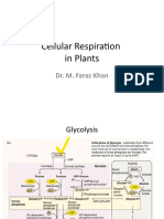 Respiration Lecture 2-3