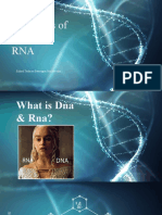 Structures of Dna & RNA: Enhzul Tsolmon Batmagnai Sumber-Ulzii