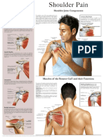 Shoulder Pain e Chart Quick Reference Guide - HC HealthComm - Z Library