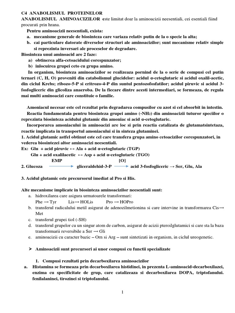 C4 | PDF