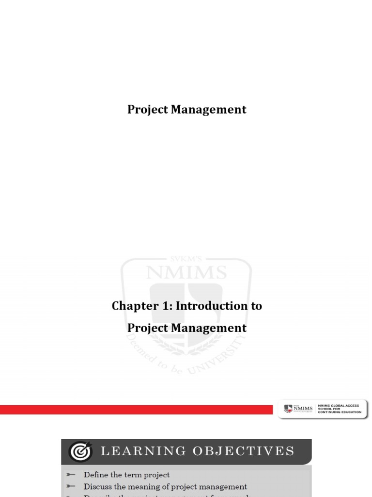 Project Management | PDF | Project Management | Consultant