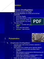 Phytoplankton: B. Dinophyceae (Dinoflagellates)