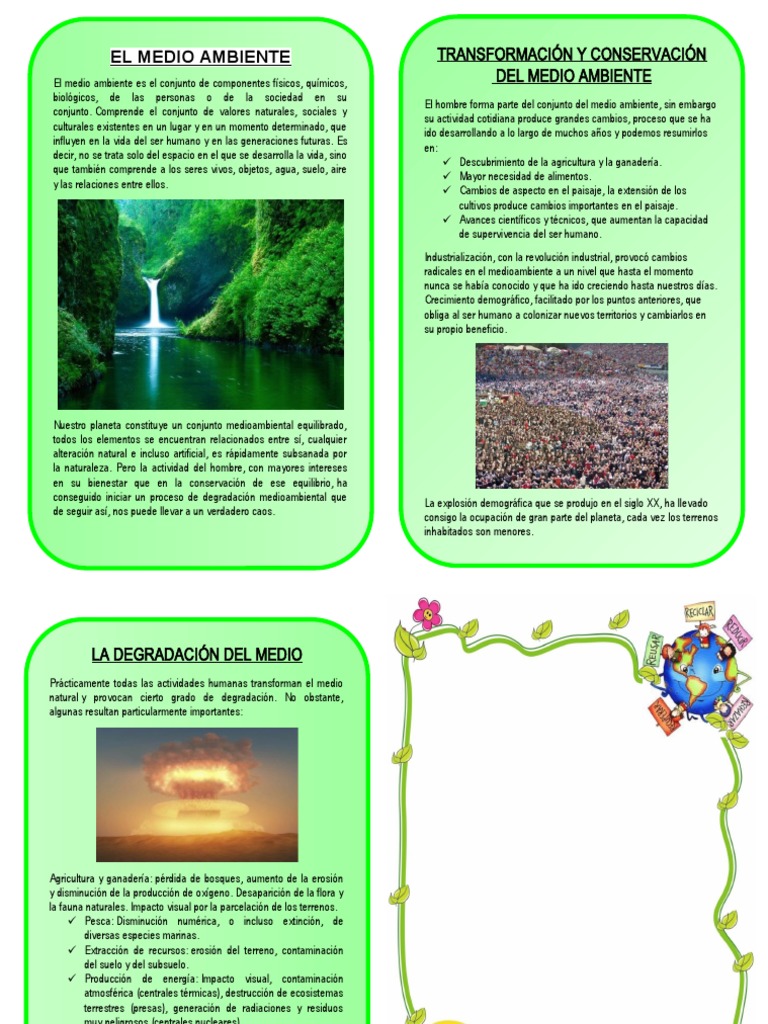 Diptico Del Medio Ambiente 3 | Descargar gratis PDF | Entorno natural ...