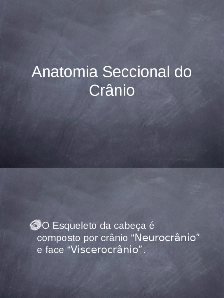 Cópia De Anatomia Seccional Do Crânio Pdf Crânio Sistema Esquelético