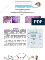 Clase 1 Histología