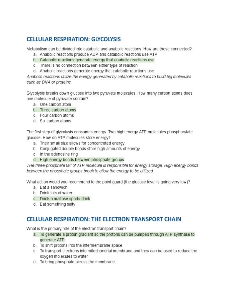 Cellular Respiration 1 1 | PDF