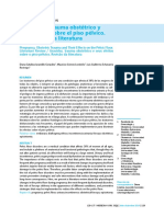 Embarazo, Trauma Obstétrico y Sus Efectos Sobre El Piso Pelvico (Revision)