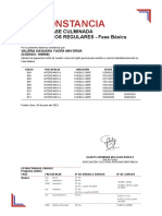 Constancia de Fase Básica Culminada