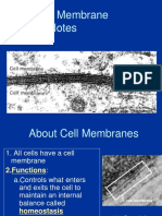 Cell-Membrane