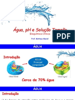 Aula 02 - Água, PH e Solução Tampão