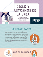 Ciclo de La Urea