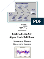 _Measure_ phase of the DMAIC methodology