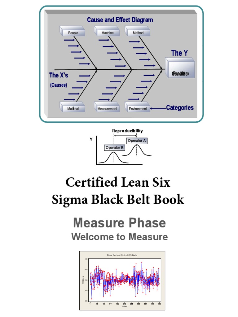 Measure - Phase of The DMAIC Methodology | PDF