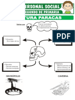 Cultura Paracas para Segundo de Primaria