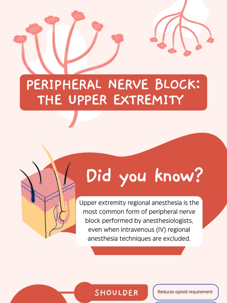 Upper Extremity Peripheral Nerve Blocks | PDF