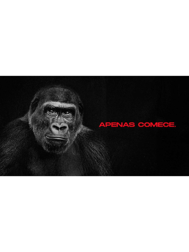 Wallpaper Gorila PC-1 | PDF