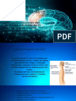 Enfermedades Que Afectan Al Sistema Nervioso