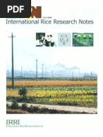 International Rice Research Notes Vol.25 No.3