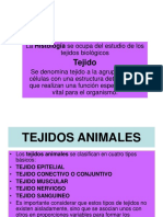 Tejidos Animales 2018