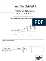 Eva - Ciencias - Tercero