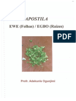 Edoc - Pub - Apostila Ewe Jimypdf