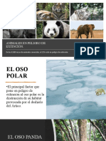 Animales en Peligro de Extinción