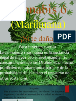 CANNABIS - Salud (SALUD)