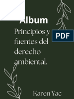 Album Principios y Fuentes Del Derecho Ambiental