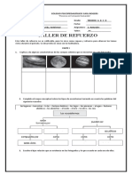 Nat 3° Taller de Refuerzo - Iii P