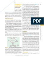 431 Distúrbios Hereditários Das Purinas e Pirimidinas