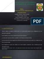 Escuela de Educación Superior Técnico Profesional PNP Puno: Tema: Uso de Mayusculas Y Minusculas Integrantes