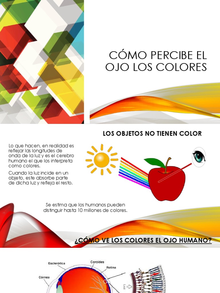 Cómo percibe el ojo humano los colores | PDF | Color | Matiz