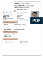 Curriculum Vitae