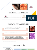 Esófago de Barrett