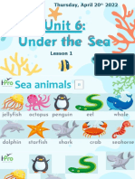 Unit 6 - Under The Sea