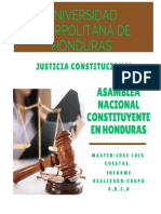 Asamblea Nacional Constituyente + Presentacion