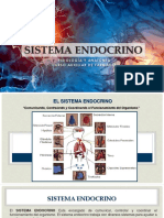 Sistema Endocrino SEMIP