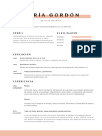 Curriculum CV Curriculo Academico Original Profesional Naranja