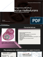 Deinococcus Radiodurans