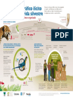 Infografia - TRAFICO ILICITO DE VIDA SILVESTRE