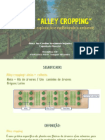 Alley Croppyng - Apresentação