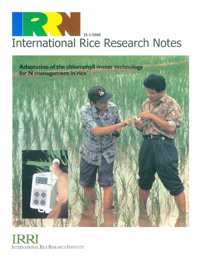 International Rice Research Notes Vol.25 No.1 | PDF | Rice | Fertilizer