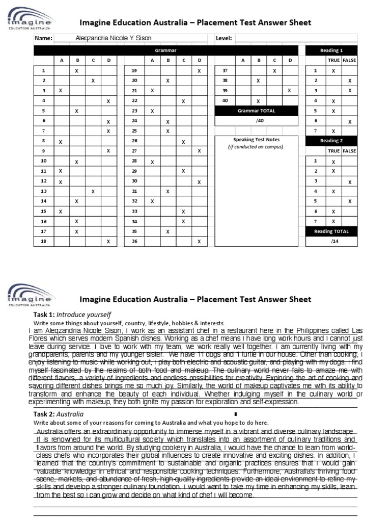 Chinese Placement Test Example