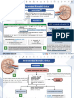   Enfermedad Renal Crónica