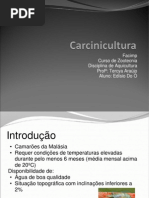 Carcinicultura