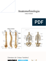 Anatomofisiologia - Melissa